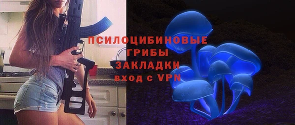 стаф Медногорск