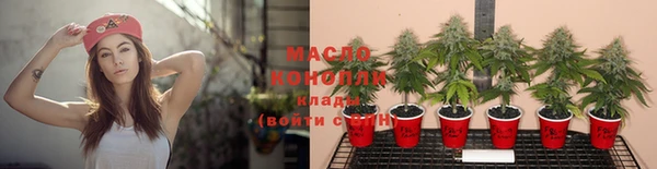 стаф Медногорск