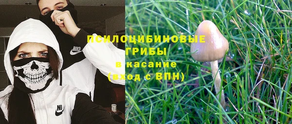 стафф Медвежьегорск