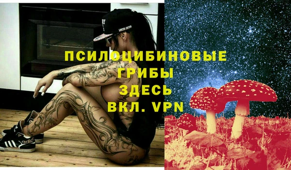 стаф Медногорск