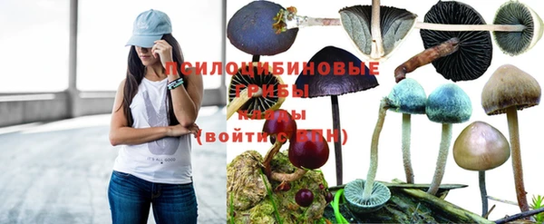эйфоретик Мегион