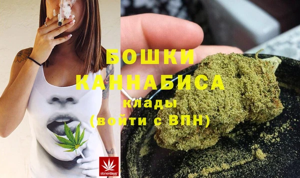 стафф Медвежьегорск