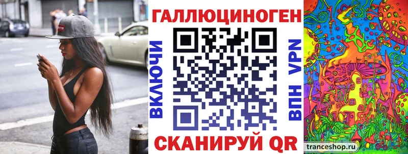 Псилоцибиновые грибы Psilocybe  Заволжск 